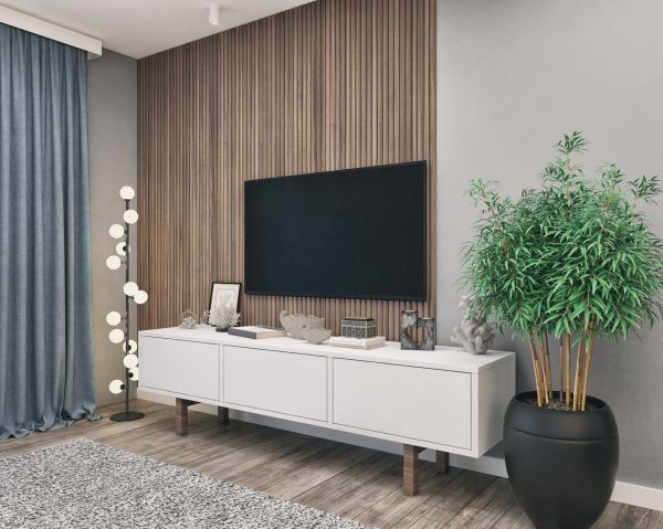 Professional Entertainment Center Painting