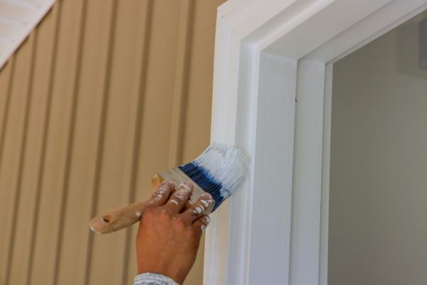 Professional Door Trim Painting